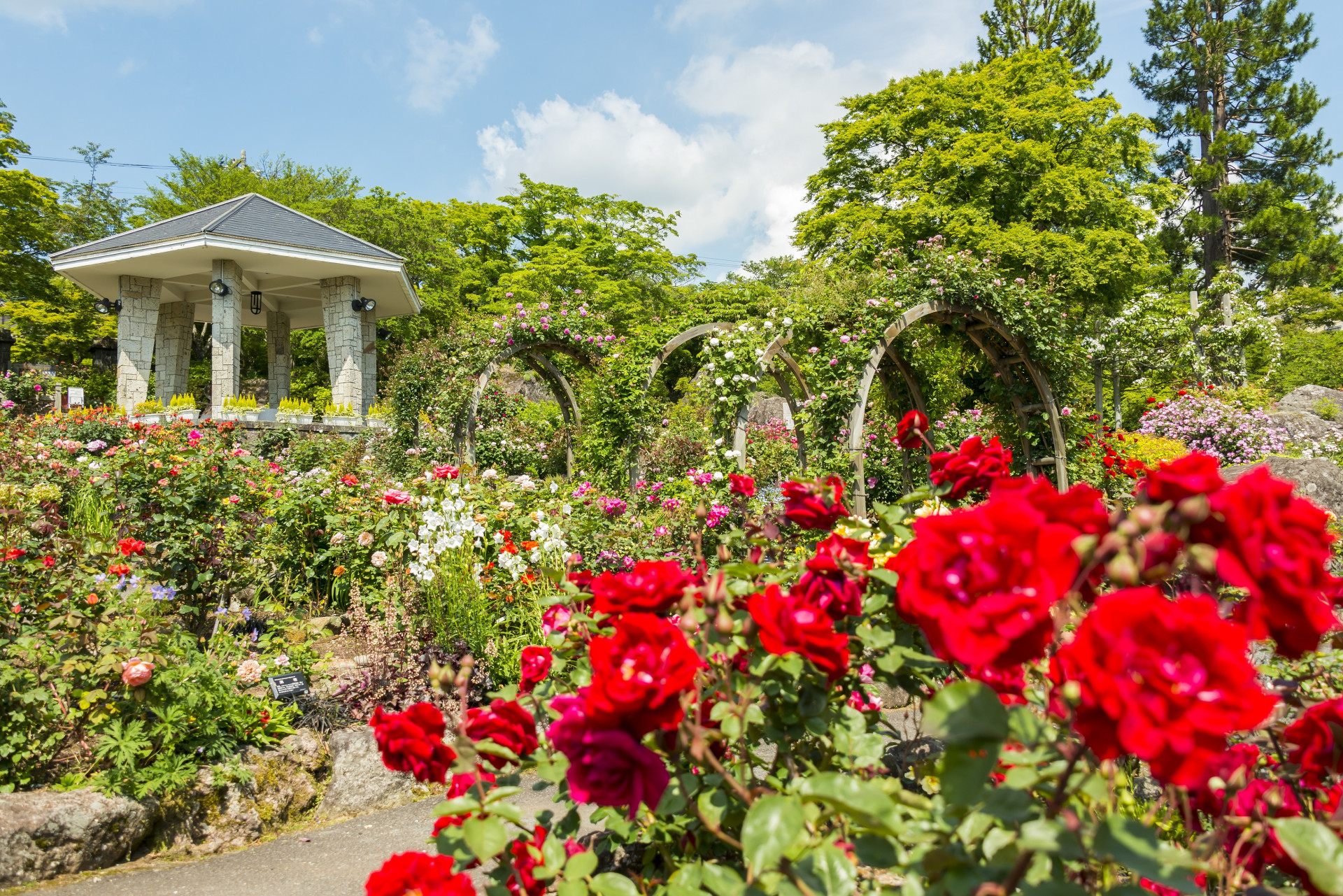 一色堂茶廊　パフェ・ド・ローズ